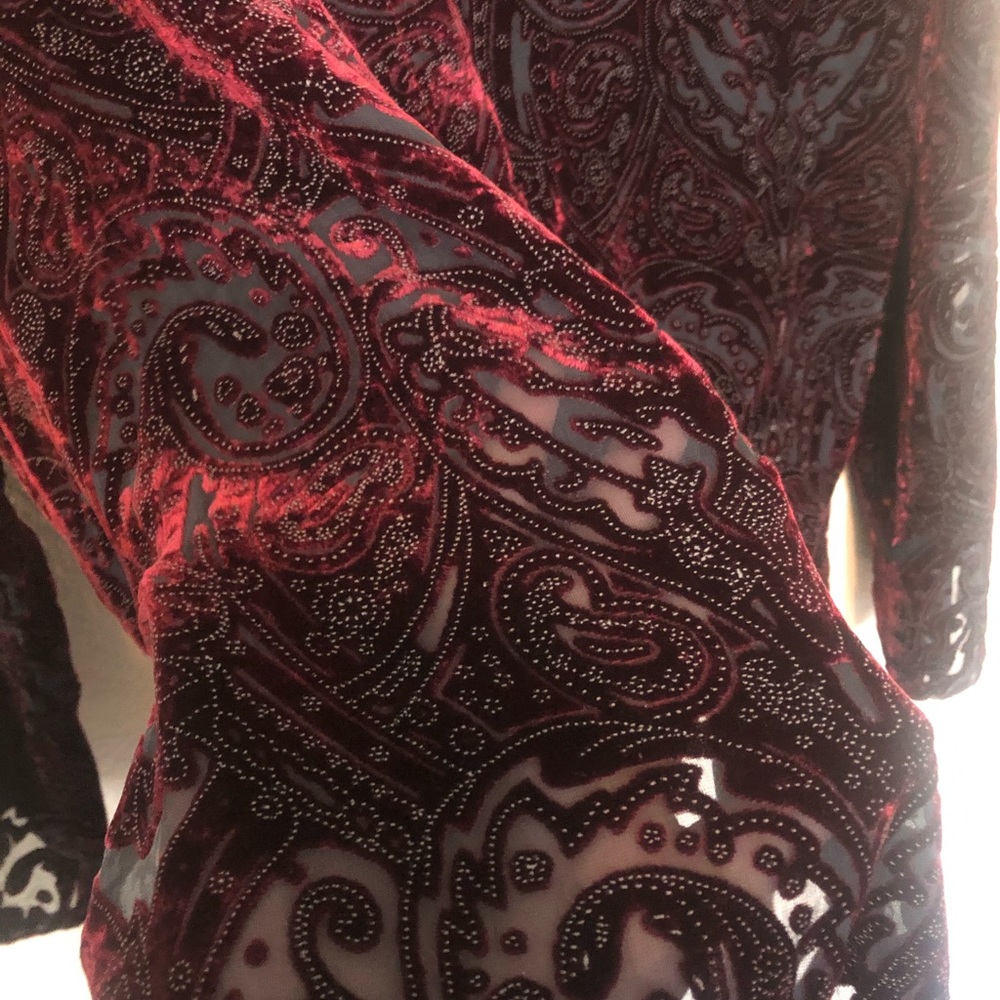 Velvet button down blouse - Picture 3 of 4